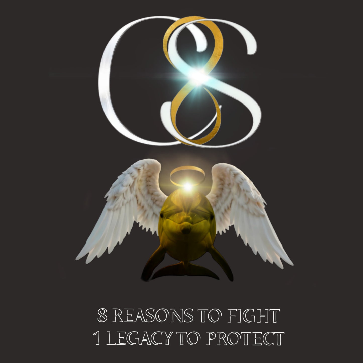 Donate to The Christian Santamaria Foundation